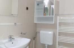 3 camere, decomandate, 95 mp, gradina, mobilat modern, zona Restaurant Sinaia