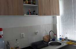 De inchiriat garsoniera, 24 mp, decomandata, zona strazii Campina