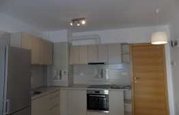 Apartament 2 camere, 48 mp, mobilat modern, zona Viva City