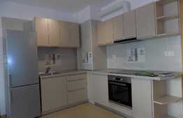 Apartament 2 camere, 48 mp, mobilat modern, zona Viva City
