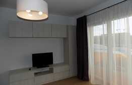 Apartament 2 camere, 48 mp, mobilat modern, zona Viva City