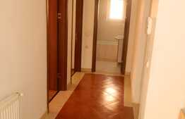 3 camere, 70 mp, garaj, terasa 60 mp, zona strazii Mircea Zaciu