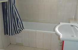 3 camere, 70 mp, garaj, terasa 60 mp, zona strazii Mircea Zaciu