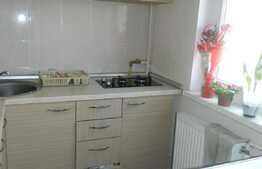 De inchiriat garsoniera, 24 mp, mobilata modern, zona Kaufland