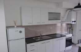 Apartament 2 camere, 40 mp, mobilat modern, zona FSEGA