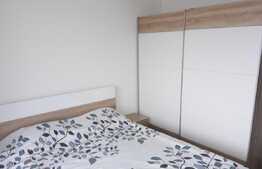 Apartament 2 camere, 40 mp, mobilat modern, zona FSEGA