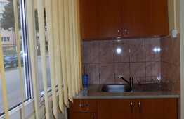 Garsoniera decomandata, 28 mp, zona Profi