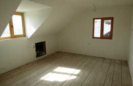 Hale de inchiriat 2600 mp utili, teren 5000 mp!