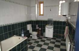 Hale de inchiriat 2600 mp utili, teren 5000 mp!