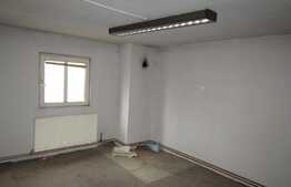 Hale de inchiriat 2600 mp utili, teren 5000 mp!