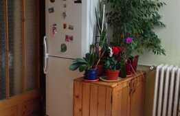 Garsoniera 29 mp, etaj intermediar, zona strazii Parang