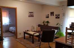 Apartament 2 camere, 46 mp, mobilat modern, zona strazii Campului