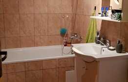 Apartament 2 camere, 46 mp, mobilat modern, zona strazii Campului