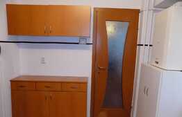 Apartament 2 camere, 55 mp, decomandat, prima inchiriere, zona Iulius Mall