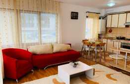 Apartament 3 camere, parcare, pet friendly, Buna Ziua
