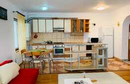 Apartament 3 camere, parcare, pet friendly, Buna Ziua