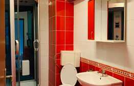 Apartament 3 camere, parcare, pet friendly, Buna Ziua