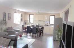 Casa de vanzare 218 mp, teren 381 mp, front 28 ml, zona Ira