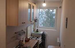 De inchiriat garsoniera, 30 mp, decomandata, zona strazii Vanatorului