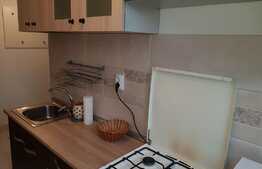 De inchiriat garsoniera, 30 mp, decomandata, zona strazii Vanatorului