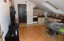 Apartament la mansarda, 4 camere, 68 mp! Zona strazii Florilor!