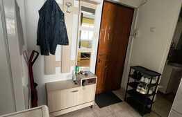 Garsoniera de inchiriat, 26 mp, zona Expo Transilvania