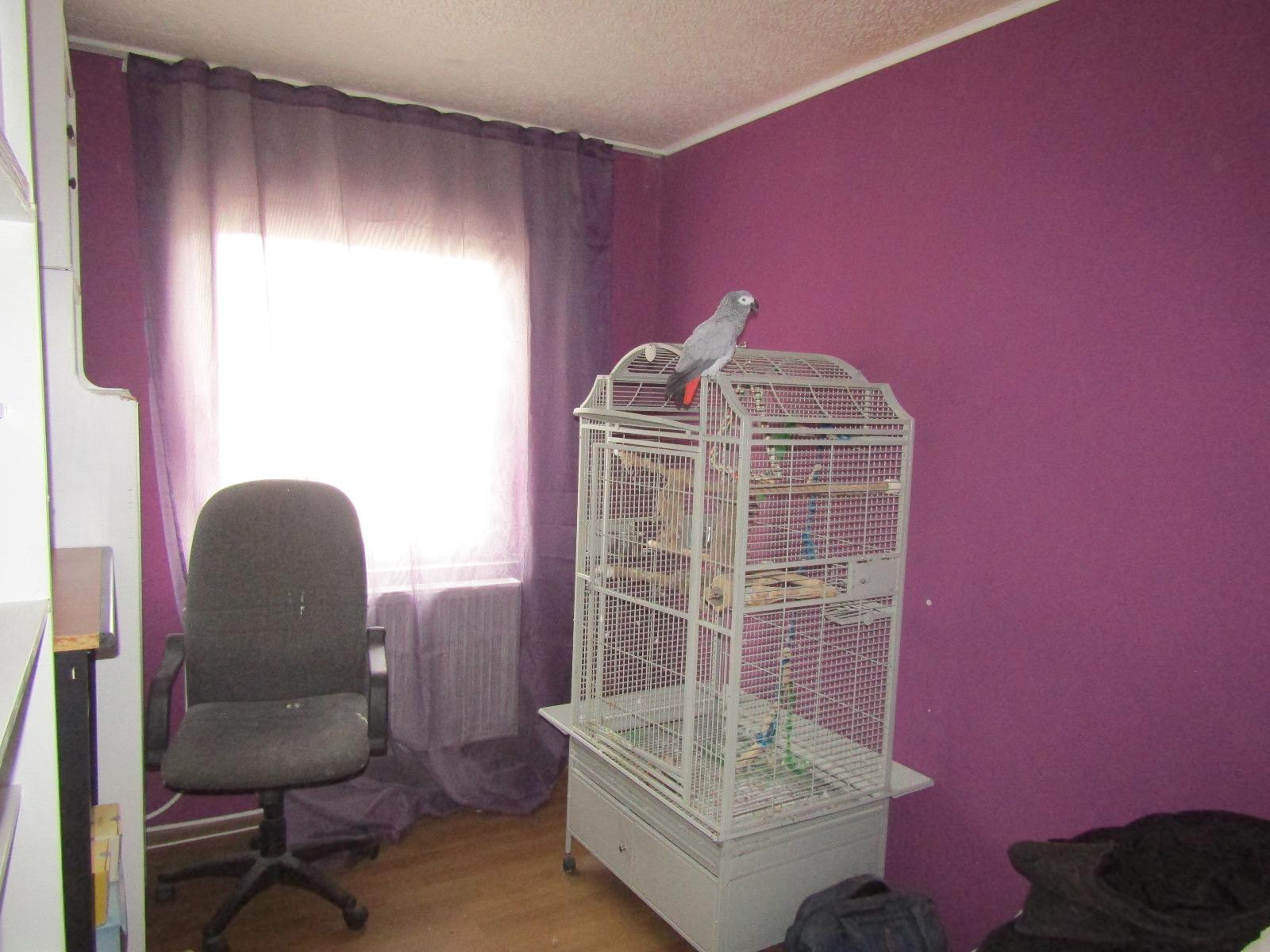 Apartament de vânzare 4 camere Grigorescu - 30911AV | BLITZ Cluj-Napoca | Poza3