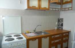 Apartament 2 camere, 40 mp, prima inchiriere, parcare, zona Parcul Rozelor