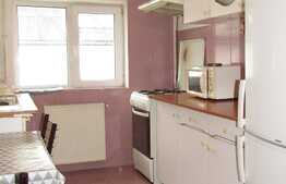 Apartament 2 camere, 48 mp, zona strazii Frunzisului