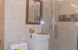 2 camere, 50 mp, A.C., prima inchiriere, modern mobilat, zona Piata Abator