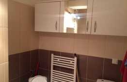 Garsoniera 32 mp, mobilata modern, zona Clujana