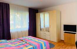 Garsoniera 42 mp, decomandata, recent renovata, zona stadion CFR