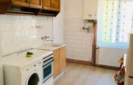 Garsoniera 42 mp, decomandata, recent renovata, zona stadion CFR