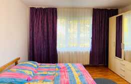 Garsoniera 42 mp, decomandata, recent renovata, zona stadion CFR