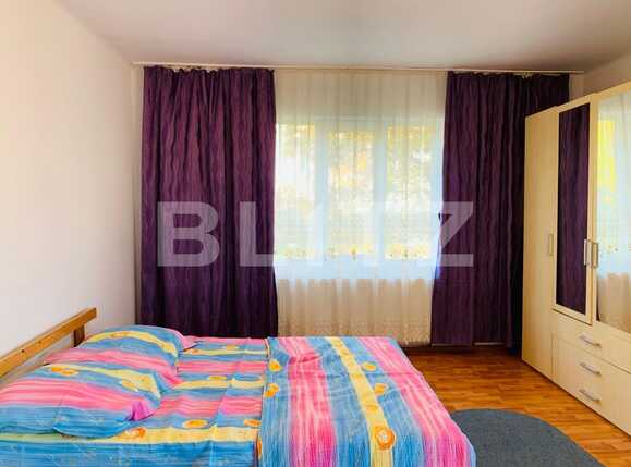 Garsonieră de închiriat Gruia - 30955AI | BLITZ Cluj-Napoca | Poza1