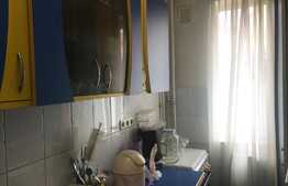 De vanzare garsoniera, 40 mp, zona Apele Romane