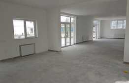 Spatiu comercial, 230 mp, terasa 200 mp, zona strazii Plevnei