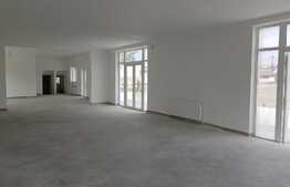 Spatiu comercial, 230 mp, terasa 200 mp, zona strazii Plevnei