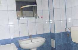 Apartament 1 camera, 45 mp, decomandat, imobil nou, zona strazii Albac
