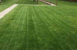 Casa individuala 257 mp utili, teren de 1948 mp, front 24 ml