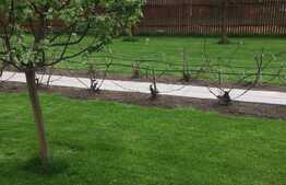 Casa individuala 257 mp utili, teren de 1948 mp, front 24 ml