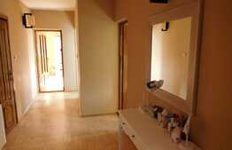 Casa individuala 257 mp utili, teren de 1948 mp, front 24 ml