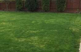 Casa individuala 257 mp utili, teren de 1948 mp, front 24 ml