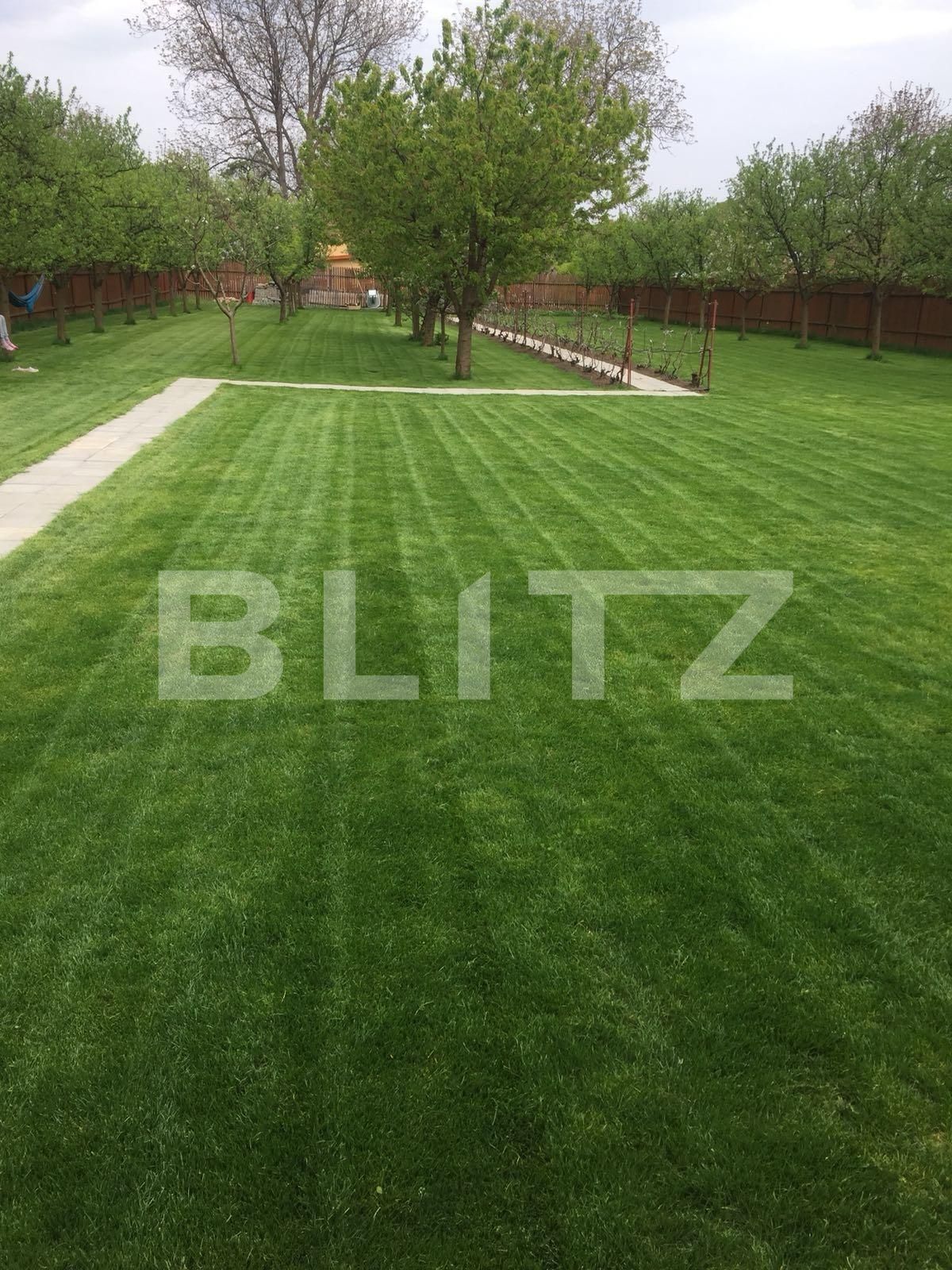 Casa de vânzare 5 camere Baciu - 31015CV | BLITZ Cluj-Napoca | Poza4