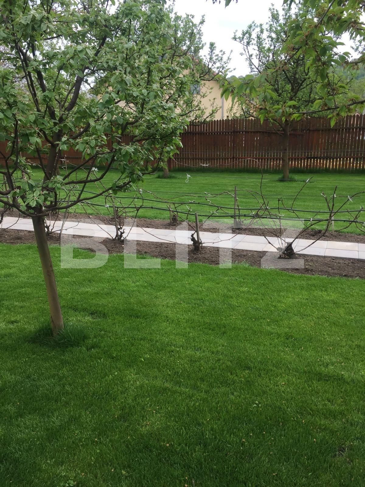 Casa de vânzare 5 camere Baciu - 31015CV | BLITZ Cluj-Napoca | Poza7