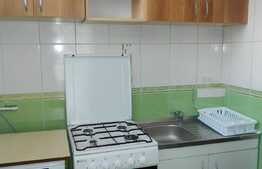 De inchiriat garsoniera, 27 mp, mobilata modern, zona FSPAC