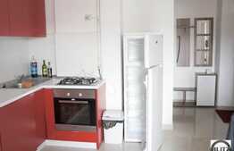 Apartament 1 camera, finisat nou, in zona Sora