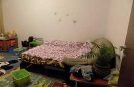 2 camere spatioase, decomandate, 58 mp! Gradina de 70 mp! Zona strazii Stejarului!