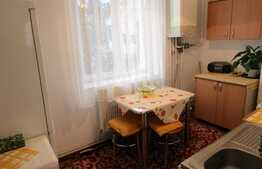 Apartament 2 camere, 65 mp, parcare, pet friendly, zona The Office