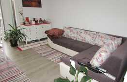 Garsoniera 30 mp, prima inchiriere, mobilata modern, zona Aleea Detunata